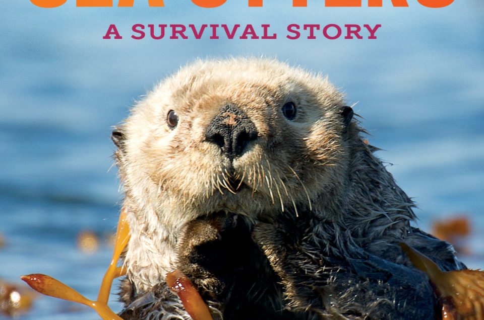 My new book Sea Otters: A Survival Story is now released