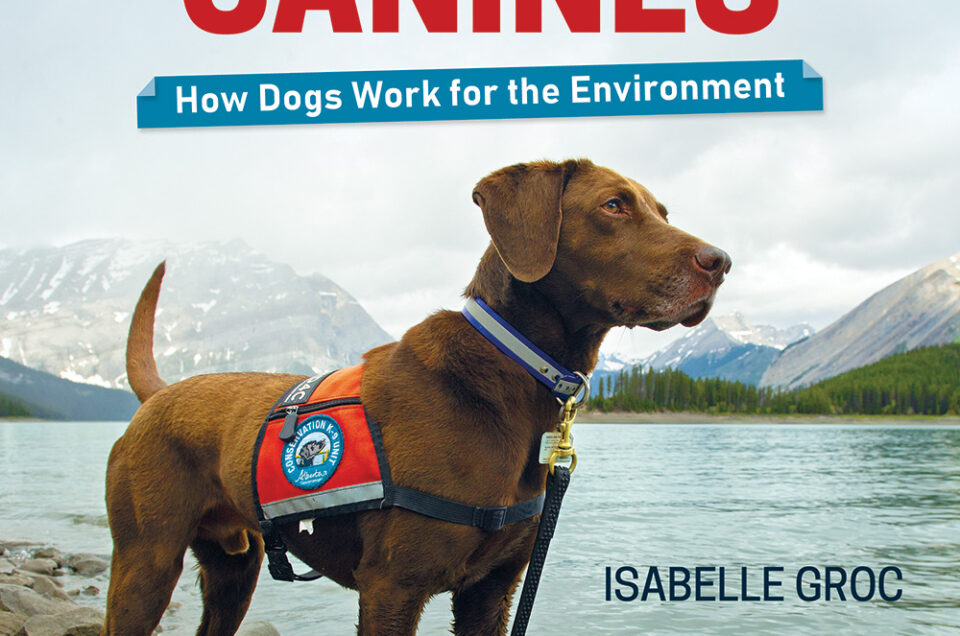 My new book Conservation Canines coming in September